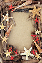 Image showing Driftwood and Seashell Background  