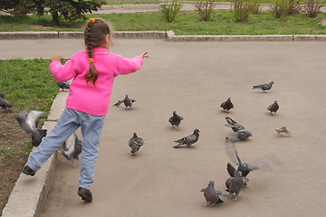 Image showing feeding pigeons