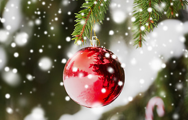 Image showing red christmas ball on fir tree branch with snow