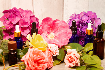 Image showing flowers and bottles of essential oils for aromatherapy