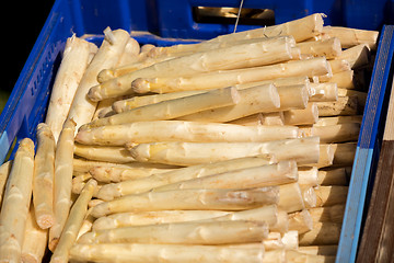 Image showing crate of fresh white asparagus on a market