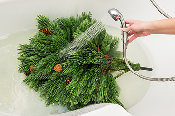 Image showing Man washes an artificial Christmas tree in the bathroom