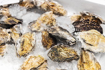 Image showing close up of chilled oysters on ice at fish market