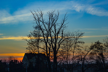 Image showing Beautiful colorful autumn sunset 