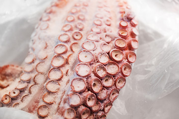 Image showing close up of octopus at fish market