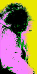 Image showing Picture with ape over yellow background