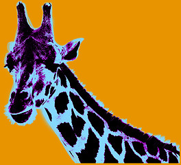 Image showing Picture with giraffe over orange background