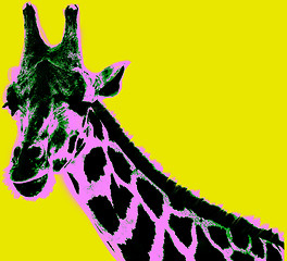 Image showing Picture with giraffe over yellow background