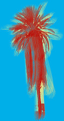 Image showing Poster with palm tree