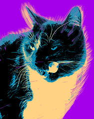 Image showing Picture with cat over purple background