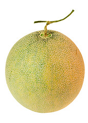 Image showing Whole musk melon

