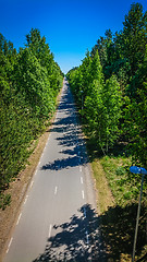 Image showing Aerial view of bicycle lane through forest