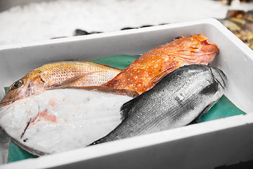 Image showing fresh fish or seafood at japanese street market
