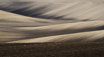 Image showing Field in springtime