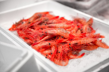 Image showing fresh shrimps or seafood on ice at street market