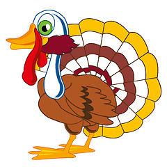 Image showing Bird turkey on white background is insulated