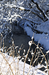 Image showing Winter landscape