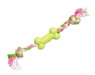 Image showing Dog toy on white