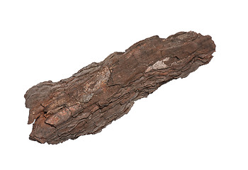 Image showing Tree bark on white 