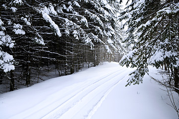 Image showing Winter landscape