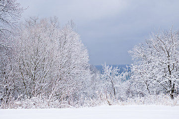 Image showing Winter landscape