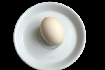 Image showing One egg