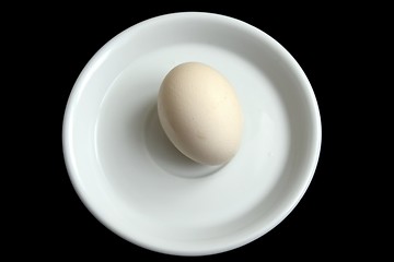 Image showing One egg