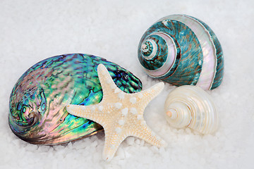 Image showing Seashell Beauties on Sea Salt