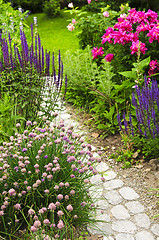 Image showing Path in blooming garden