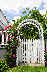 Image showing White arbor in a garden