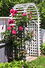 Image showing White arbor in a garden