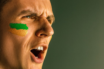 Image showing Portrait of a man with the flag of the Brazil painted on him face.