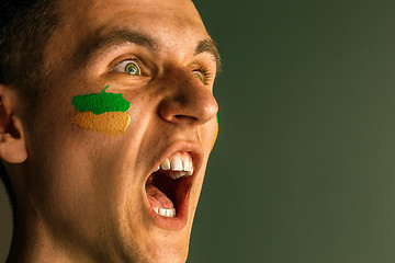 Image showing Portrait of a man with the flag of the Brazil painted on him face.