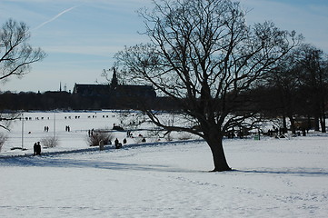 Image showing Winterday