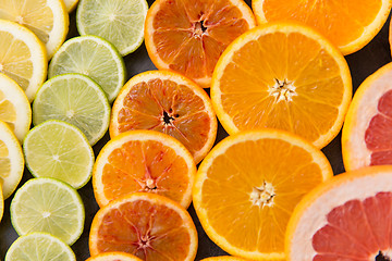 Image showing close up of different citrus fruit slices