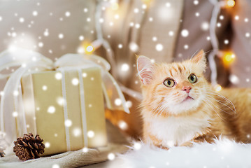 Image showing red tabby cat on sofa with christmas gift at home