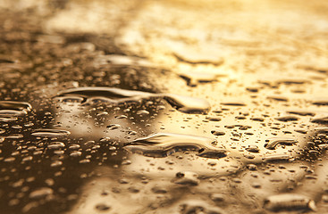 Image showing Drops of water on glass