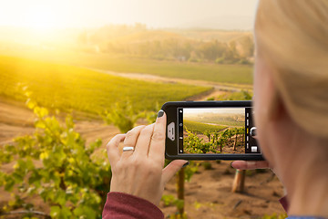 Image showing Woman Taking Pictures of A Grape Vineyard with Her Smart Phone