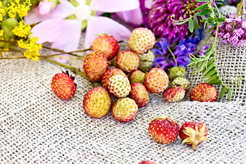 Image showing Strawberries with flowers on old burlap