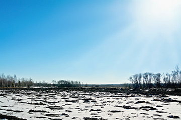 Image showing Spring field and azure sky