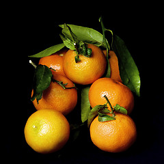 Image showing Ripe Tangerines with Leafs