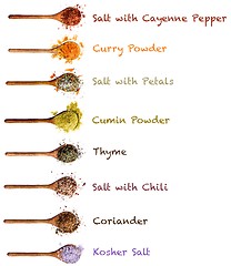 Image showing Collection of Spices in Wooden Spoons