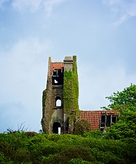 Image showing Old Overgrown by Ivy Mansion