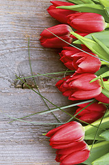 Image showing Red Spring Tulips