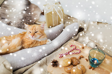 Image showing red cat lying on owner feet in bed at christmas