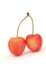 Image showing wild cherries
