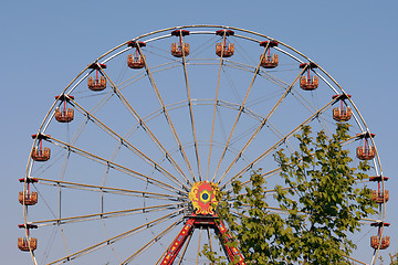 Image showing amusement and tree