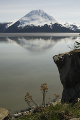 Image showing Turnagain Arm view, Alaska