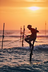 Image showing Traditional stilt fishing in Sri Lanka