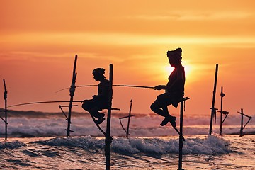 Image showing Traditional stilt fishing in Sri Lanka